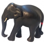 elefante_de_thailandia